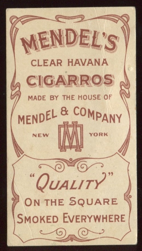 T228 Mendel's Clear Havana Cigarros Speed Champions.jpeg
